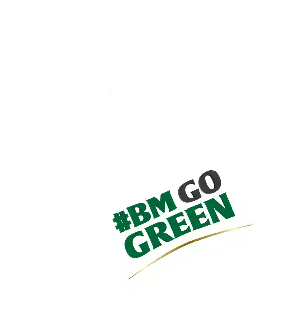 Bear Paw