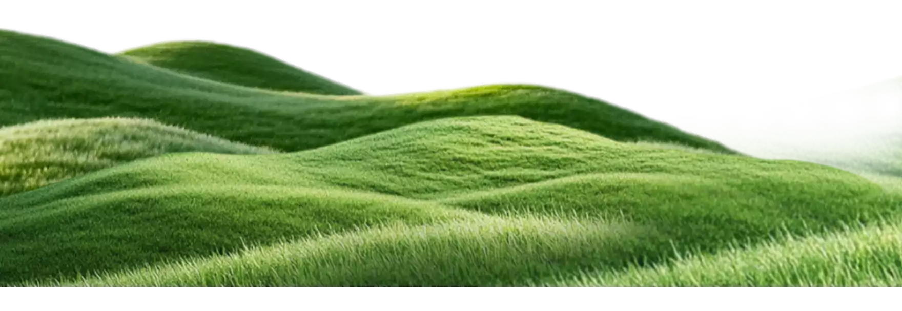 Field